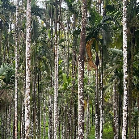 فيلا Max Farms شيموغا المظهر الخارجي الصورة